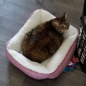 Meet your Posher, Heather